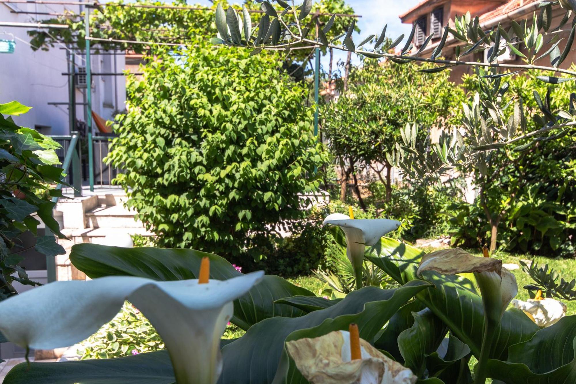 Marjan Hill 3-Br Apt,5 Guests Private Garden Near Beach Σπλιτ Εξωτερικό φωτογραφία